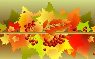 Картинка коллаж, насекомое, осень, листья