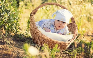 Картинка корзина, цветы, шапочка, ромашки, младенец