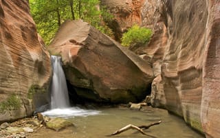 Картинка Zion National Park, деревья, сша, водопад, камни, каньон, скалы, ущелье, юта