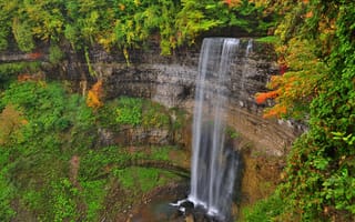Картинка скалы, деревья, листья, осень, водопад