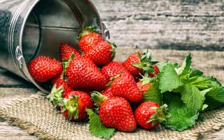 Обои strawberry, ягоды, ведро, клубника, fresh berries