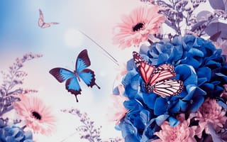 Картинка цветы, хризантемы, гербера, листики, бабочки, гортензия