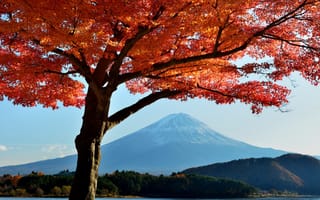 Картинка Япония, озеро, небо, осень, деревья, гора Фудзияма, листья