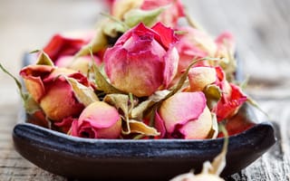 Картинка rose, бутоны, romance, розы, сухие, wood, bud