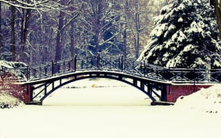 Картинка природа, деревья, пейзаж, зима, снег