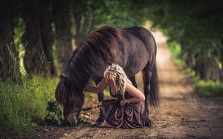 Картинка девушка, дорога, конь