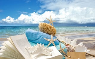 Картинка seashells, ракушки, пляж, звезды, beach, starfishes, sand, marine, wood, песок