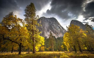 Картинка Yosemite National Park, деревья, горы, осень