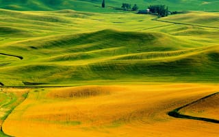 Картинка Италия, осень, поля, трава, холмы