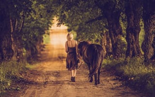 Картинка девушка, настроение, дорога, конь