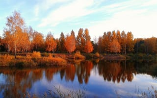 Обои осень, река, облака, листья, пейзаж, лес, багрянец, небо