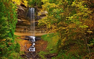 Картинка лес, водопад, листья, осень, деревья