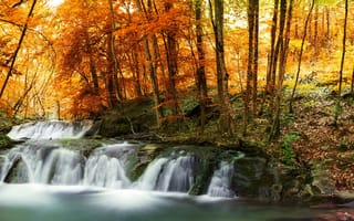 Картинка осень, лес, водопад, листья, ручей, желтые, деревья