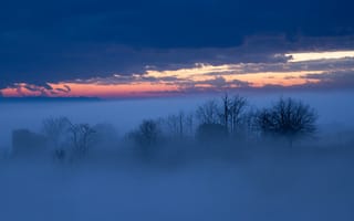 Картинка небо, зарево, тучи, туман, деревья