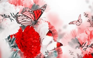 Картинка цветы, цветение, бабочки, butterflies, carnation, branches, blossom, flowers, веточки, гвоздика