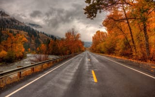 Картинка дорога, осень, река, природа