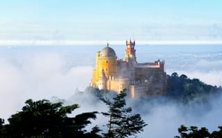 Картинка Португалия, замок, утро, туман, Пена, деревья, долина, дворец