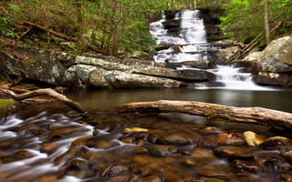 Картинка Emery Creek Trail, водопад, Chatsworth, Georgia, лес, камни, река