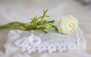 Картинка цветы, розы, свадьба
