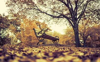 Картинка скамья, парк, деревья, листья, осень