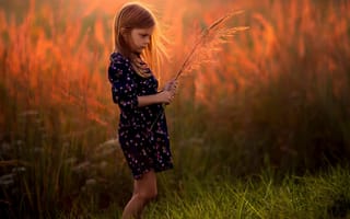 Картинка девочка, закат, травинка