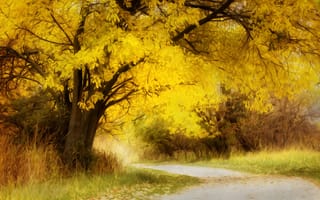 Картинка деревья, арт, лес, осень, рисунок