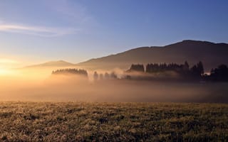Картинка утро, туман, поле, природа