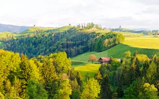 Картинка Швейцария, луга, лес, поля, холмы, Tessin, деревья, дом