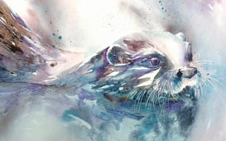 Картинка Выдра, мордочка, Otter, акварель