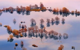 Картинка Planina Plain, доска, наводнение, люди, бассейн реки Любляница, Словения, вода, деревья, лодка