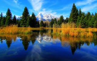 Картинка grand teton national park, озеро, небо, горы, ель, Вайоминг, деревья, США, отражение