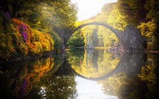 Обои река, отражение, парк, природа, мост
