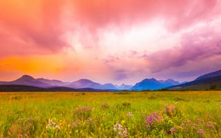 Картинка поле, холм, облака, трава, горы, розовый небо, цветы, горизонт