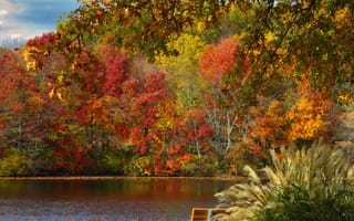 Картинка осень, скамья, парк, пруд, деревья, листья