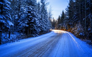 Картинка зима, снег, деревья, лес, дорога, поворот, солнце
