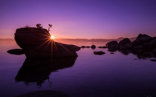 Картинка lake Tahoe, Bonsai Rock, озеро, NV, рассвет, пейзаж