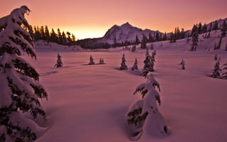Картинка вечер, зима, природа, снег, горы