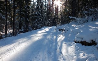 Картинка зима, дорога, снег, природа, лес