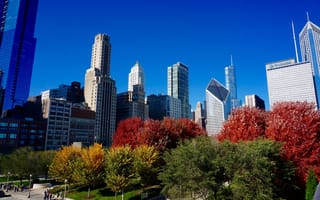 Картинка Чикаго, США, дома, небоскреб, деревья, небо, осень