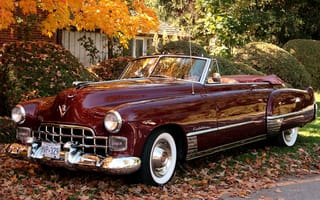 Картинка Cadillac, бордовый, Convertible, шикарная машина, кадилак, Sixty-Two, сикститу, 1949, листва, деревья, кусты, кабриолет