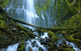 Обои Proxy Falls, камни, Three Sisters Wilderness, Орегон, водопад, Oregon, брёвна, каскад, мох