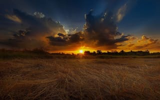 Картинка закат, поле, лето, пшеница, природа