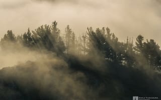 Обои Kenji Yamamura, лес, холм, тучи, туман, photographer
