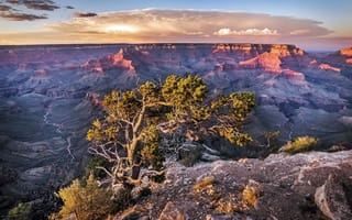 Картинка Grand Canyon, National Park, Arizona, Landscape