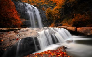 Картинка лес, природа, река, камни, деревья, водопад, осень