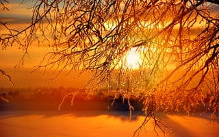 Картинка небо, дерево, солнце, иней, зима, закат