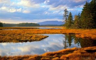 Картинка Main, трава, Acadia, осень, National park, лес, озеро