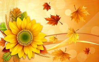 Картинка листья, цветок, колосья, осень, подсолнух, коллаж