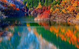 Картинка горы, склон, деревья, отражение, озеро, осень