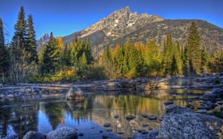 Картинка США, коряги, ручей, лес, деревья, горы, Grand Teton, камни